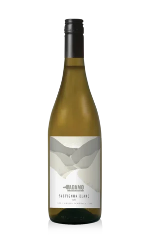 2023 Sauvignon Blanc